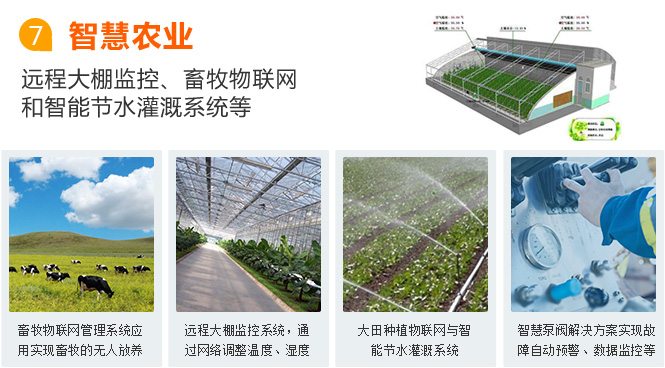 大理物聯網卡應用之智慧農業